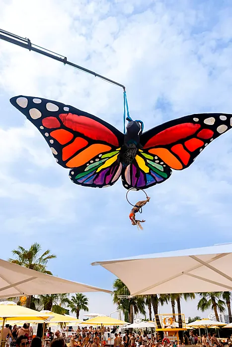 Butterfly aerial prop flown with a performer