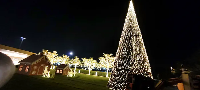 Giant lit Christmas tree at an outdoor venue